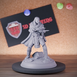 Venom Assassin Miniature Rogue Dungeons and Dragons Mini RPG Tabletop Miniature DnD Painting Pathfinder 5e DnD | DmS