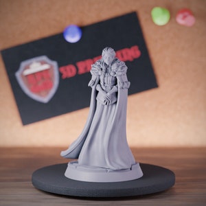 Norhtem Lady Miniature Dungeons and Dragons Mini RPG Tabletop Miniature DnD Painting Pathfinder 5e DnD | GM