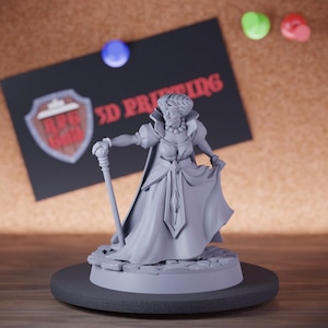 Baronessa Miniatura Femminile Nobile Mini Dungeons and Dragons RPG Miniatura da tavolo DnD Pittura Pathfinder 5e DnD / CnP
