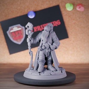 Mage avonturier miniatuur tovenaar held Dungeons and Dragons Mini RPG tafelblad miniatuur DnD schilderij Pathfinder 5e DnD | CnP