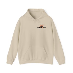 May include: A beige hoodie with a kangaroo pocket and a drawstring hood. The hoodie has a black and orange graphic on the front that says "Dynamight".