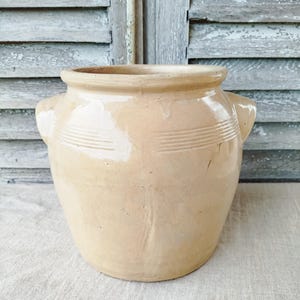 May include: A beige ceramic pot with two small handles and a wide opening. The pot has horizontal lines around the middle and sits on a light-colored surface. The background features a weathered wooden shutter.