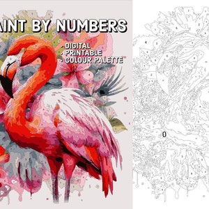 Paint By Numbers For Adults DIGITAL DOWNLOAD Procreate Painting Kit Printable Paint By Numbers - Pink Flamingo - Procreate Template