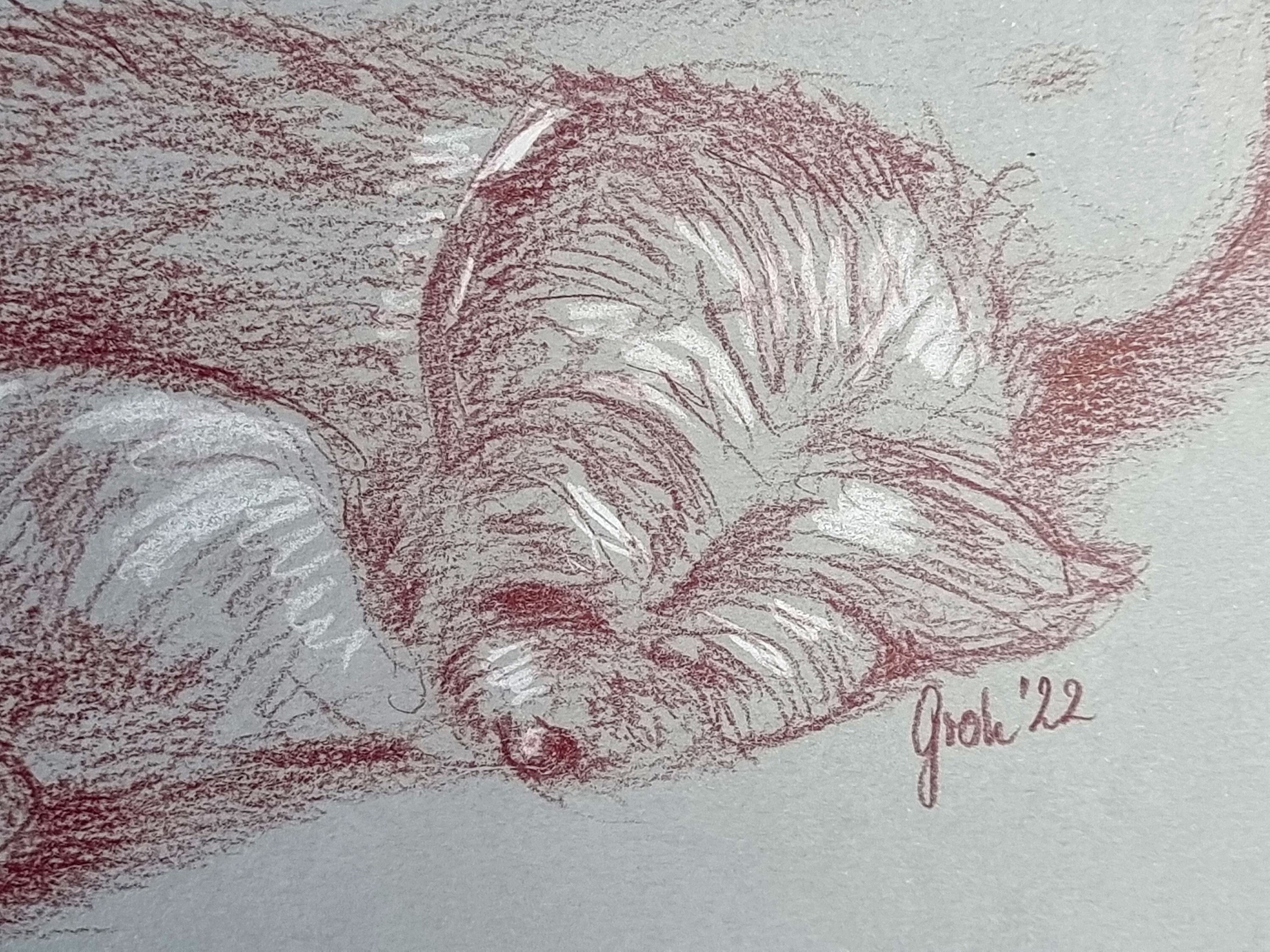 Nude With Dog, Naked Woman, Sleeping Dog, Female Representation, Original Drawing With Colored