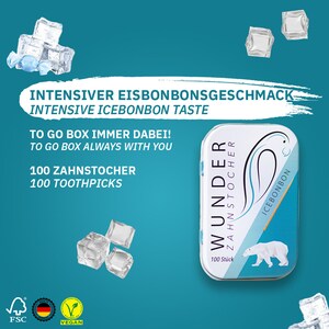 Wunder Zahnstocher mit Geschmack Metalldose Eisbonbon zdjęcie 3