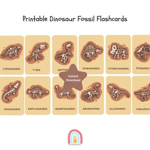 Dinosaur flashcards ,Dinosaur Fossil Flashcards ,Montessori cards, homeschool cards,Fossils,homelearning cards, kids flashcards