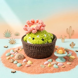 Può includere: Una pianta succulenta all'uncinetto con un fiore rosa è in un cestino marrone sulla sabbia. Ciottoli decorativi e cactus di legno circondano la pianta. Un piccolo piedistallo turchese sostiene un ornamento a forma di sole.