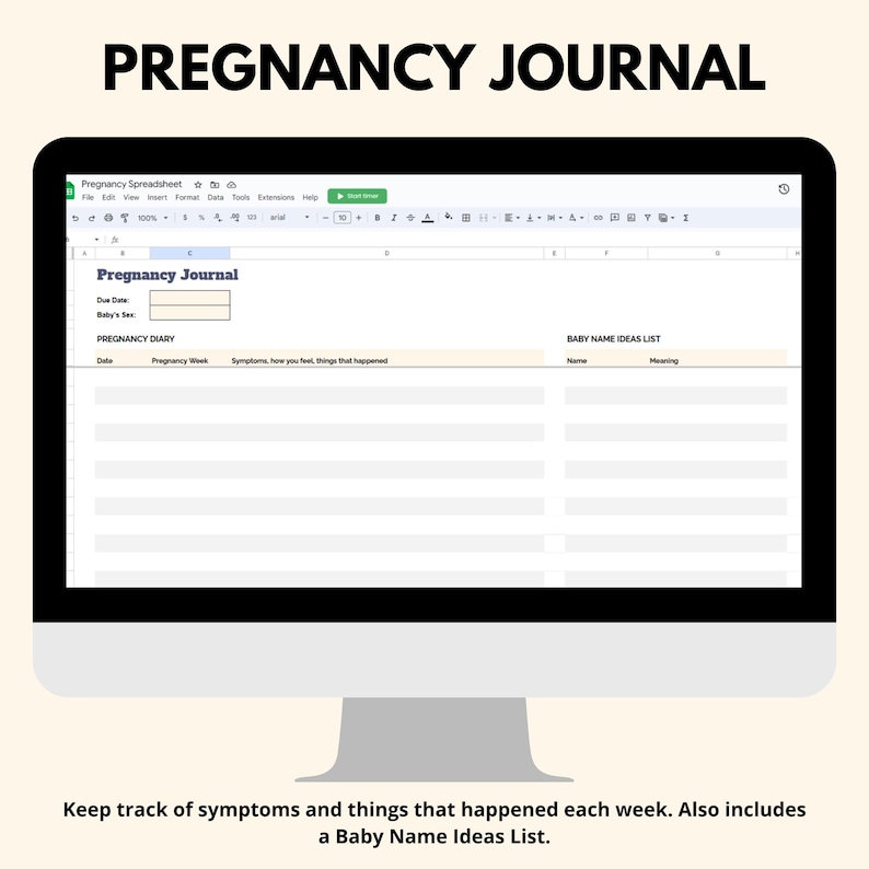 May include: A computer screen displaying a spreadsheet titled "Pregnancy Journal". The spreadsheet includes sections for tracking pregnancy symptoms, baby name ideas, and a weekly diary.