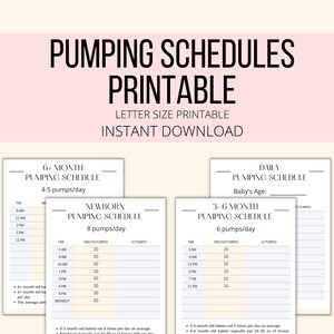 Pumping Schedule Printable, Sample Exclusive Pumping Mom Schedules PDF, Example Pumping Logs Blank Schedule, Pumping Diary Tracker image 1