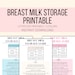 Breast Milk Storage Printable, Breast Milk Guidelines PDF, Baby Milk ...
