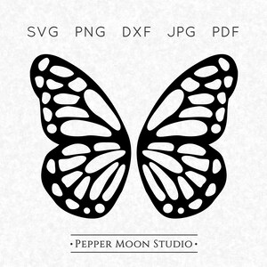 Schmetterling Flügel SVG | Schmetterlingsflügel Silhouette | Spiegelbild zur Hälfte geteilt | SVG Png Dxf Pdf Jpg Dateien | Sofortiger digitaler Download