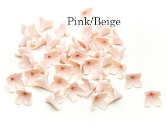 May include: A collection of small, pink and beige flower-shaped embellishments scattered on a white surface. The text "Pink/Beige" is displayed above the flowers. These delicate floral accents are ideal for craft projects.