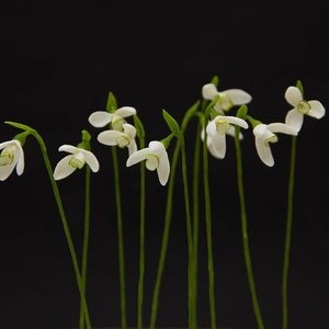 10 pcs Small Snowdrop Flower Arrangements (Set 10 pcs) Make Your Own Hands Dreed Flower Home Decor