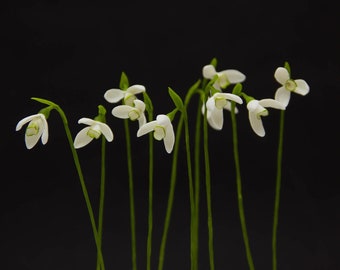Snowdrop Flower Arrangement Set: Polymer Clay Home Decor (10 pcs)