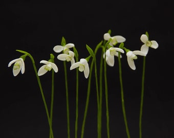 10 pcs Small Snowdrop Flower Arrangements (Set 10 pcs) Make Your Own Hands Dreed Flower Home Decor