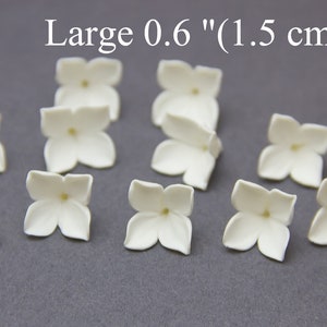 Peut inclure: Dix formes de fleurs blanches à cinq pétales, chacune mesurant 1,5 cm de diamètre.  Large 0.6" (1.5 cm)  est écrit en haut de l'image.