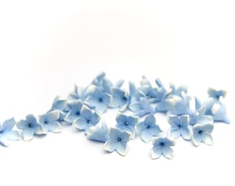 May include: A scattering of light blue flower petals on a white background. The petals are delicate and have a slightly ruffled edge.