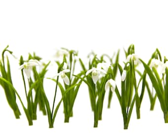 Polymer Clay Snowdrop Flowers: Home Decor Gift, Set of 10