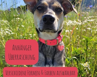 Hundemarke „It‘s a match“ / Überraschungsmarke