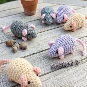 May include: Handmade crochet mice in various colors, including gray, blue, lavender, and cream, with pink ears and tails. The mice are arranged on a wooden surface with acorns and a small potted plant.