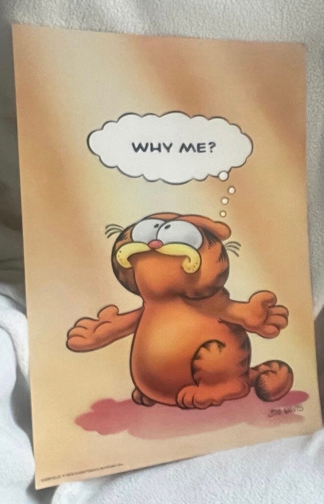 Garfield Posters and Framed Art CHOOSE ONE - Etsy