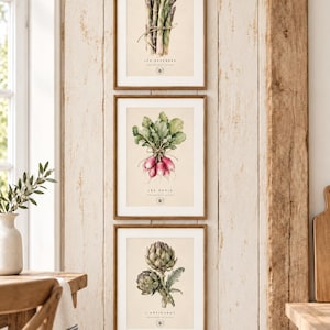 Conjunto de 3 gravuras de vegetais franceses – Aspargos, rabanetes e alcachofras – Decoração botânica rústica para cozinha e estilo fazenda.