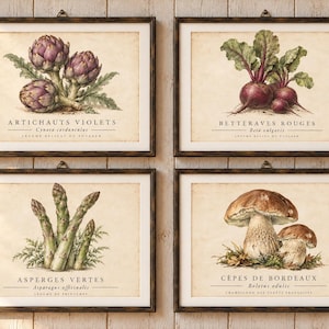 Conjunto de 4 gravuras botânicas de vegetais, arte de parede para cozinha francesa, gravuras de alcachofra, beterraba, aspargo e cogumelo, decoração rústica de fazenda.