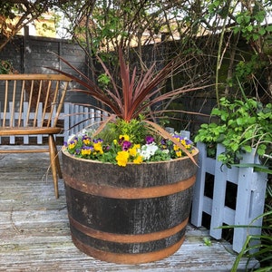 May include: A rustic wooden barrel planter overflowing with vibrant pansies, greenery, and a striking red-leaved plant. The barrel, secured with metal bands, sits on a wooden deck. A wooden bench and a small grey fence are visible in the background.