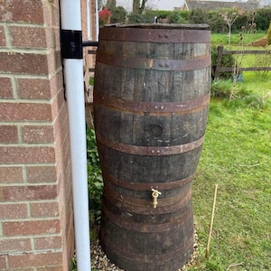 May include: A dark wooden rain barrel with metal hoops and a brass tap. The barrel is next to a brick wall and a white drainpipe, set on a bed of pebbles, with a grassy garden in the background.