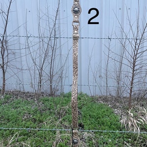 May include: A tan and brown patterned dog leash with a silver clasp and decorative accents. The leash features a floral design and a tag that reads "Myra Bag". The number "2" is visible in the background.