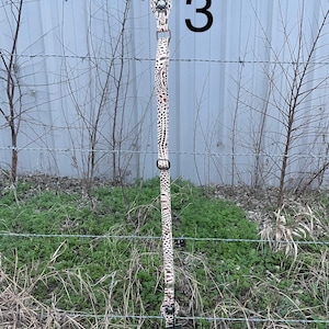 May include: A long, patterned strap with a metal clasp and hardware. The strap features a cream-colored background with brown and black spots. The number "3" is visible in the background. A tag with the text "Hyena Bay" is attached.