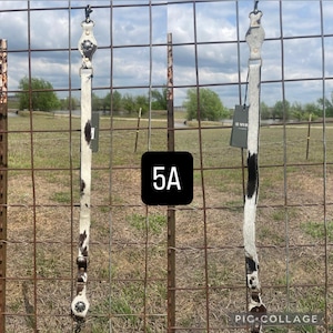 May include: Two leather horse tack pieces with a white and black cowhide pattern. The tack is hanging on a metal fence in front of a grassy field. The tag reads "MYR".