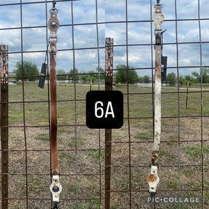 May include: Two leather horse tack straps hang against a wire fence. One is brown, the other is white and brown. The straps have metal hardware and are displayed outdoors. The image includes the text "6A" in a black square.