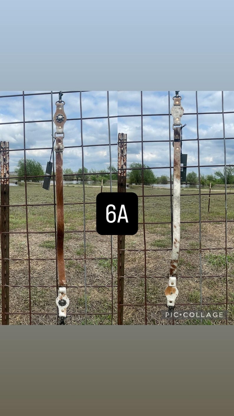 May include: Two leather horse tack straps hang against a wire fence. One is brown, the other is white and brown. The straps have metal hardware and are displayed outdoors. The image includes the text "6A" in a black square.