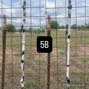 May include: Two leather horse reins with a black and white cowhide pattern. The reins are hanging on a wire fence with a rural backdrop. The number "5B" is in a black square.