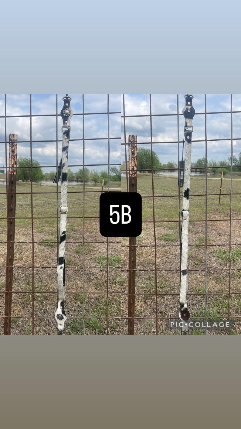 May include: Two leather horse reins with a black and white cowhide pattern. The reins are hanging on a wire fence with a rural backdrop. The number "5B" is in a black square.
