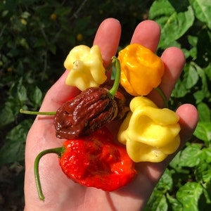 Super Hot Pepper Mix