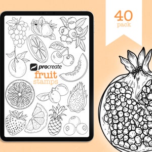 Procreate | 40 Fruit Stamp Set | Digital Download | Tattoo Stamp/Brushes | Fruits | Tattoo | Food | Fine line | ONLY FOR PROCREATE