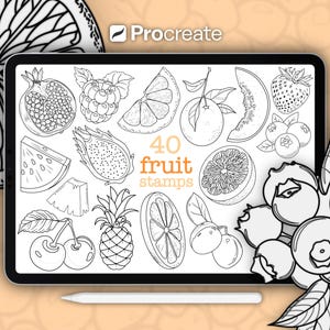 Procreate Fruit Stamp Set • 40 Pack • Fine Line Fruit Illustration Stamps (Digital Download)