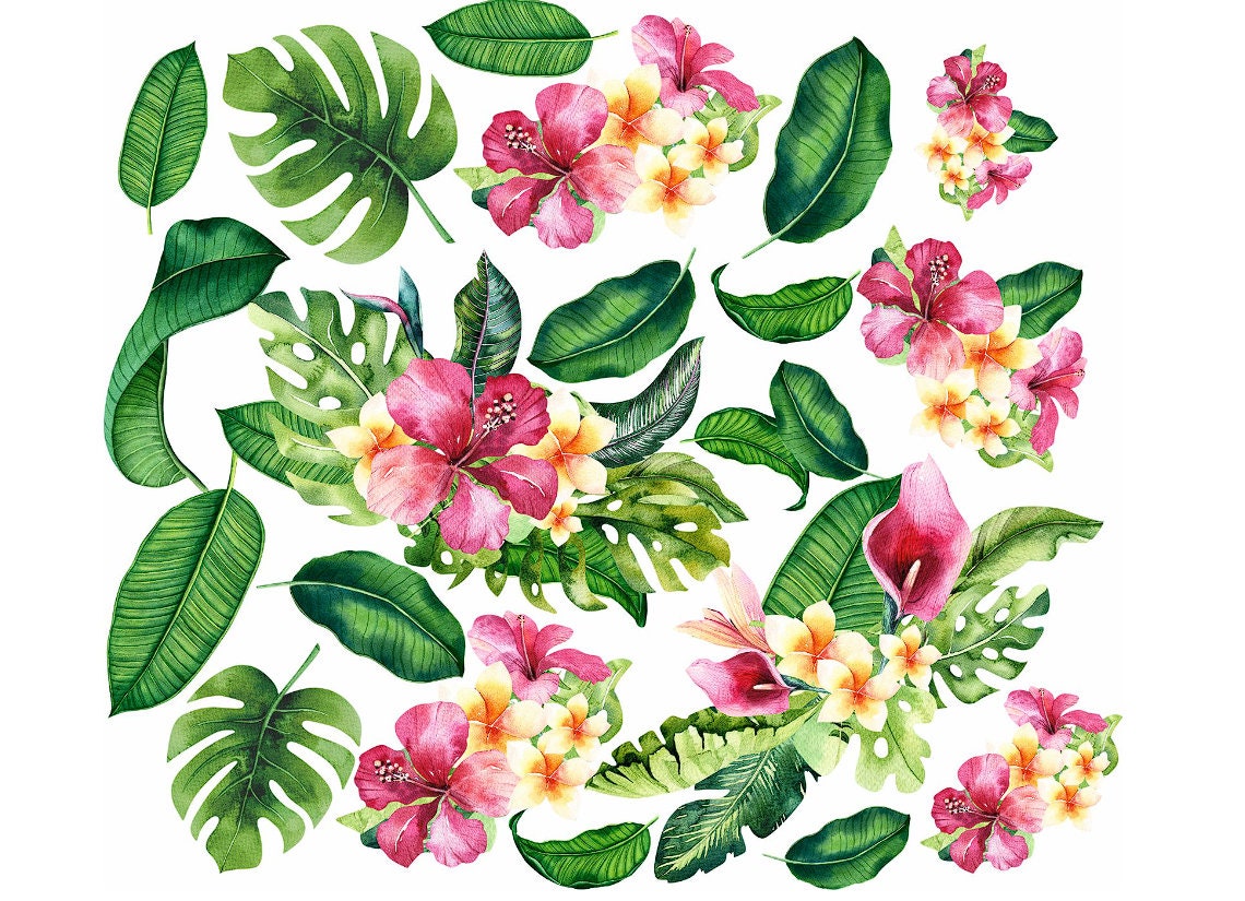 Large Tropical Leaves Wall Decal, Monstera Leaves and Flowers, Wall