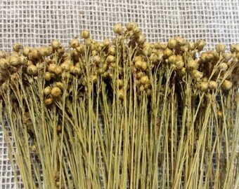 Flax linum, dried flax linum, dried linum natural bunch 60g