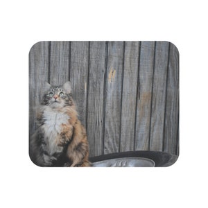 Alley Cat Mousepad