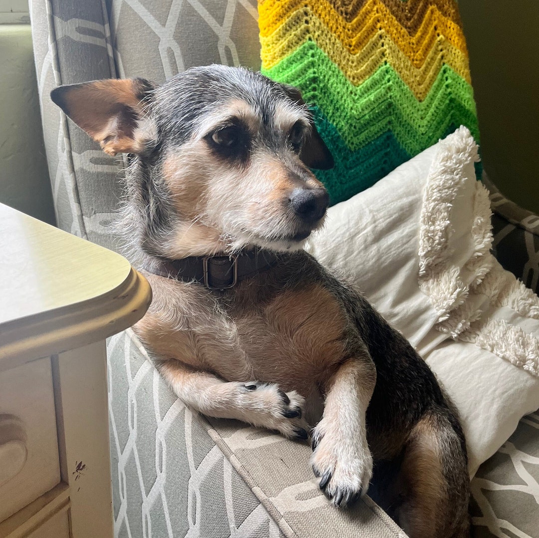 Custom Artwork Commission Etsy