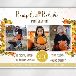 May include: A flyer advertising a pumpkin patch mini photo session. The flyer features three photos of children holding pumpkins, a price of $150, and the text "Pumpkin Patch Mini Session", "15 Digital Images", "30 Minute Session", "Print Release", "Online Gallery", and "Your Studio Photography".