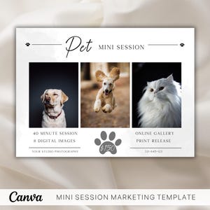 Pet Mini Session Canva Template For Photographers, Pet Photo Template, Pet Marketing Flyer, Pet Photographer, Pet Photo Session
