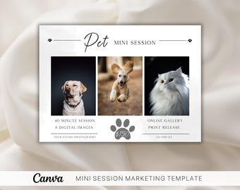Szablon mini sesji fotograficznej dla zwierząt, tablica marketingowa Canva, cyfrowa ulotka dla zwierząt, sesja zdjęciowa zwierząt