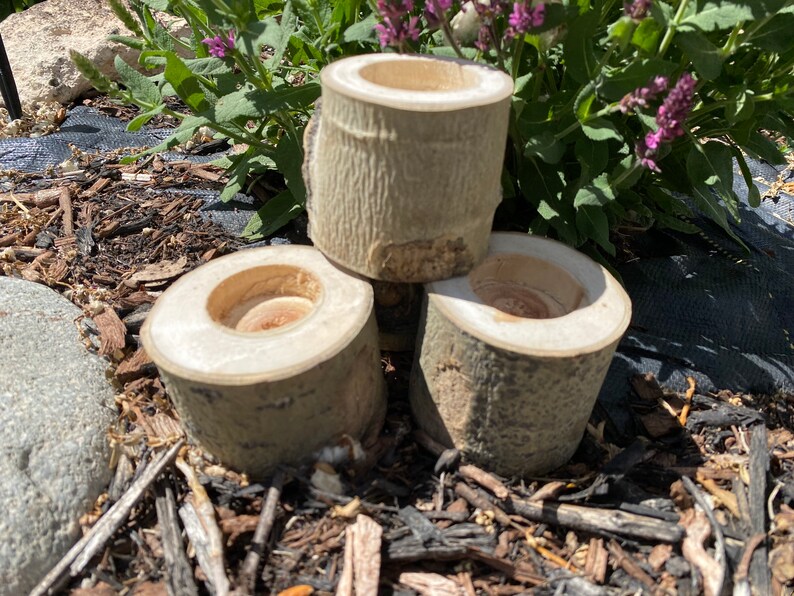 Mini Aspen Candle Holders, Aspen Tree Art, Aspen Wedding Etsy