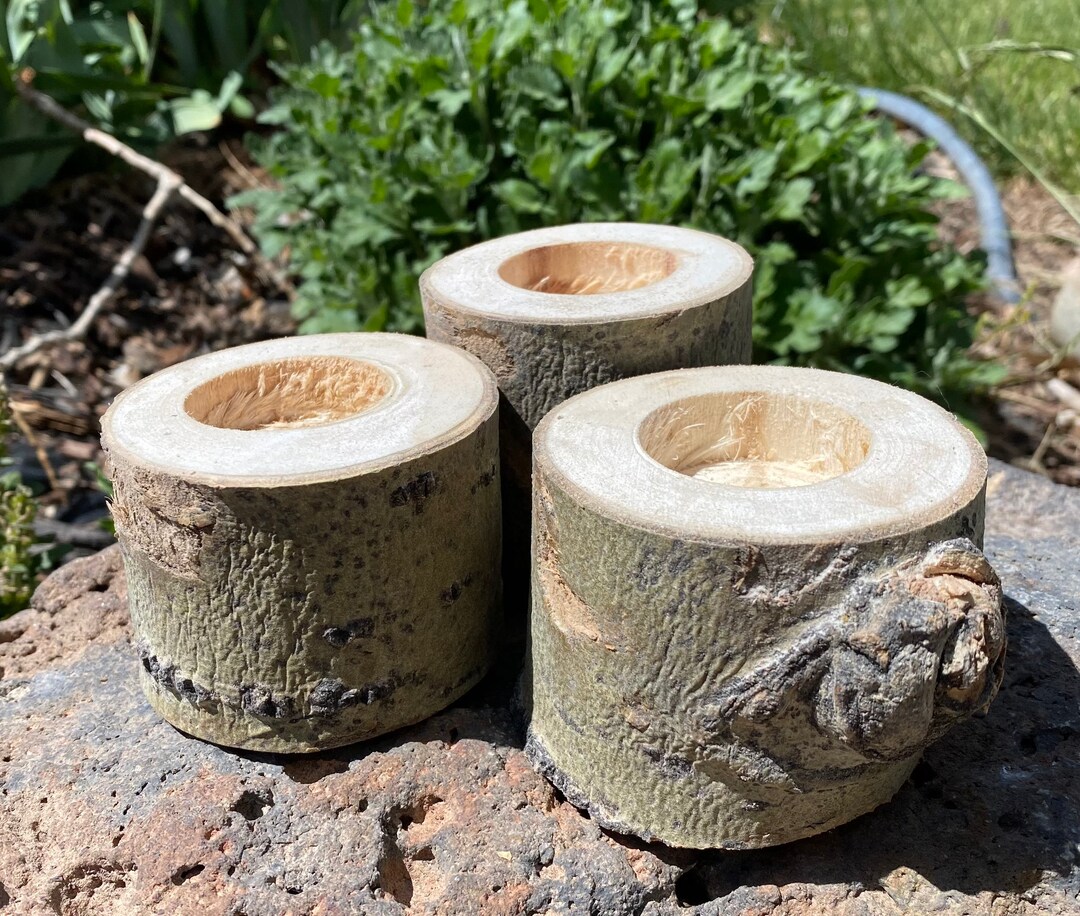 Mini Aspen Candle Holders, Aspen Tree Art, Aspen Wedding Etsy