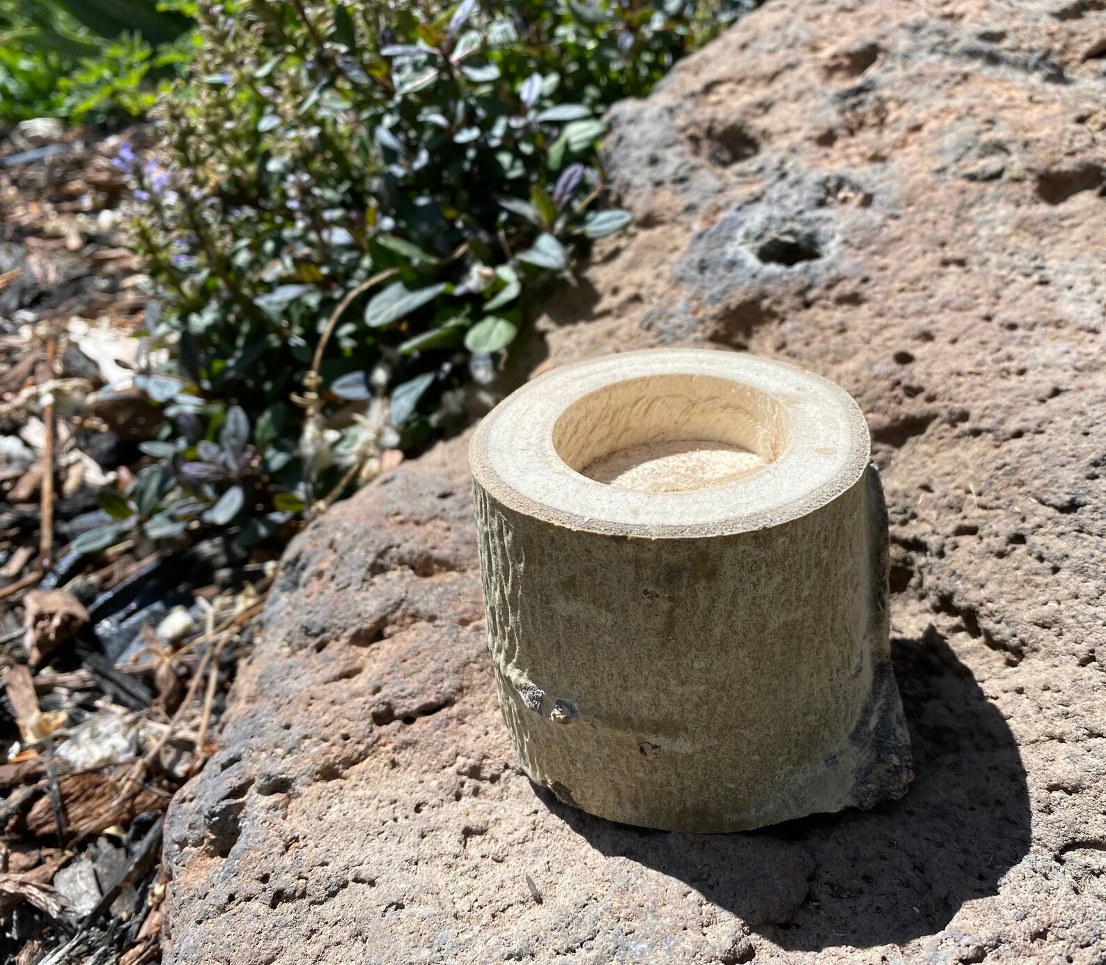 Mini Aspen Candle Holders, Aspen Tree Art, Aspen Wedding Etsy