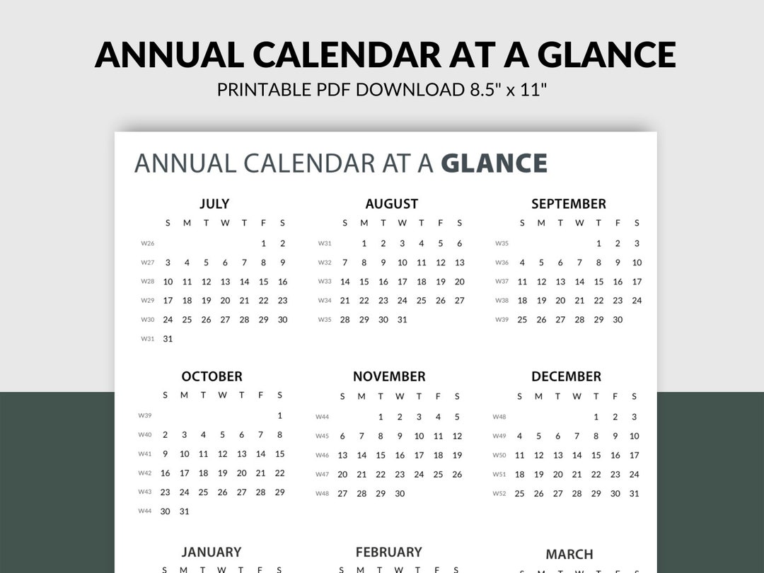 annual-calendar-at-a-glance-undated-one-page-calendar-12-month-printable-calendar-download-monthly-tracking-goodnotes-insert-etsy